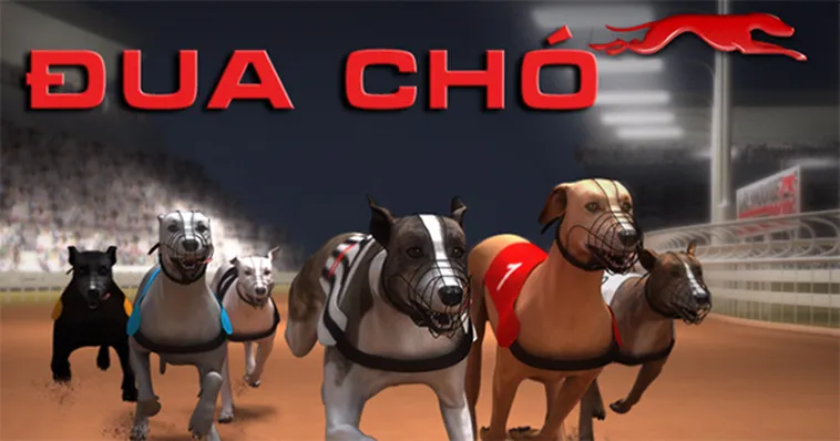 Hướng Dẫn Cá Cược Game Nhanh Đua Chó Tại RikVip Luôn Giành Chiến Thắng