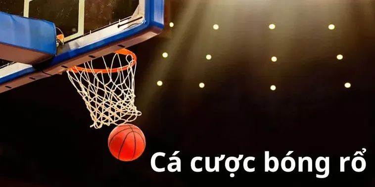 Trải Nghiệm Cá Cược Bóng Rổ RikVip Đỉnh Cao Cùng Các Giải Đấu NBA Hấp Dẫn